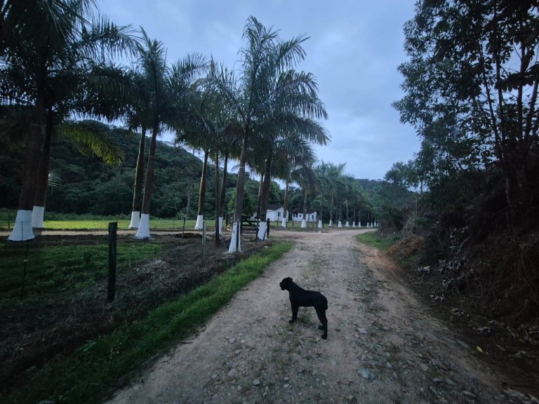 FAZENDA DE 410 HA EM SÃO PAULO