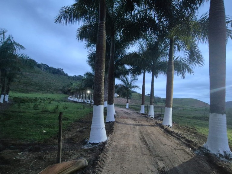 FAZENDA DE 410 HA EM SÃO PAULO