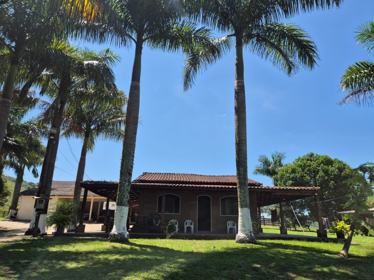 FAZENDA DE 410 HA EM SÃO PAULO