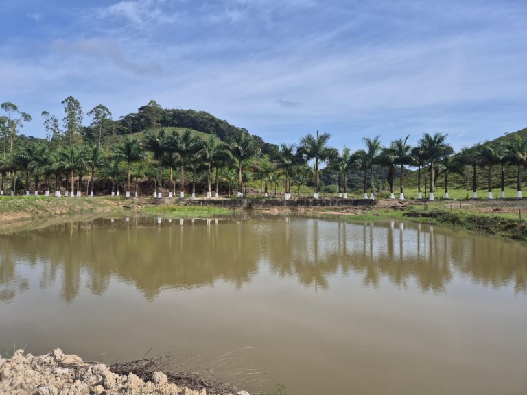 FAZENDA DE 410 HA EM SÃO PAULO