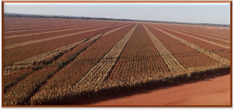 FAZENDA DE 8.027 HA EM MINAS GERAIS