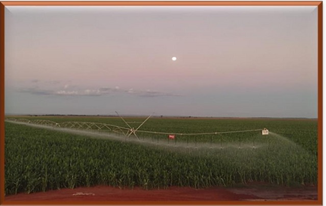 FAZENDA DE 8.027 HA EM MINAS GERAIS