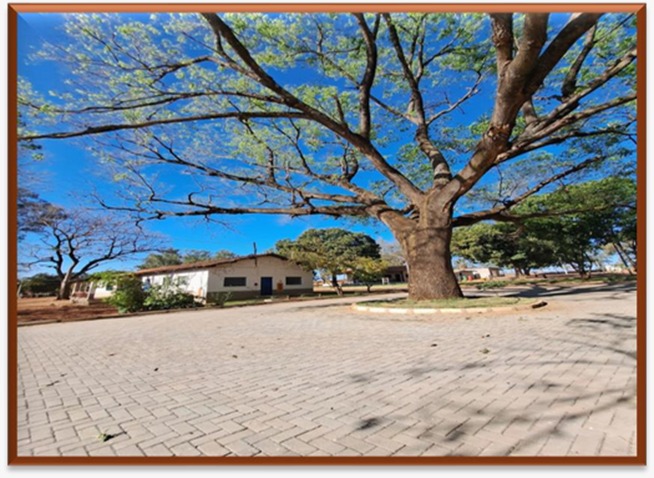 FAZENDA DE 8.027 HA EM MINAS GERAIS