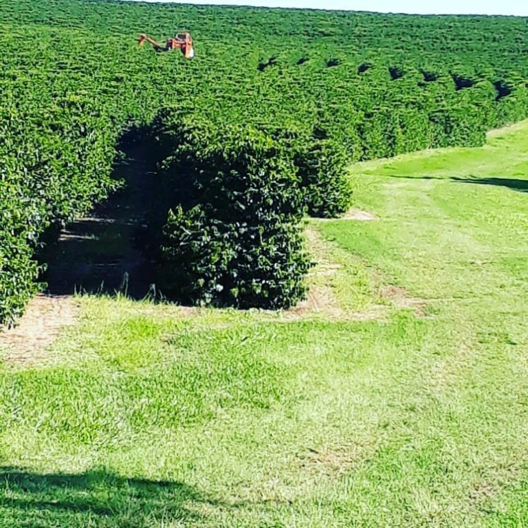FAZENDA PORTEIRA FECHADA DE 786 HA