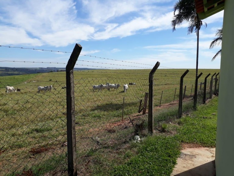 FAZENDA PORTEIRA FECHADA DE 786 HA