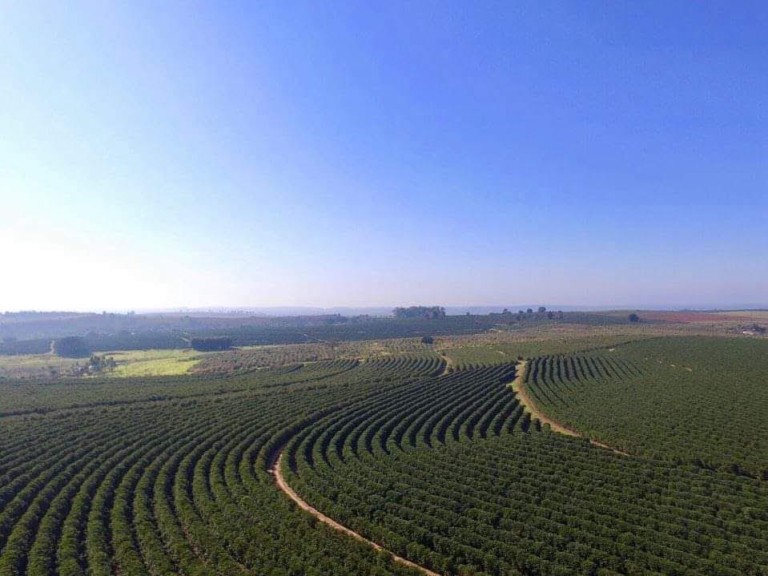 FAZENDA PORTEIRA FECHADA DE 786 HA