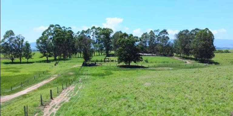 FAZENDA DE 196 ALQUEIRES EM SÃO PAULO