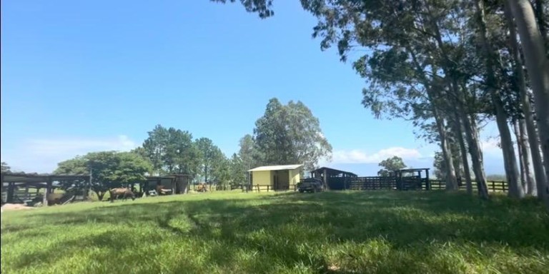 FAZENDA DE 196 ALQUEIRES EM SÃO PAULO
