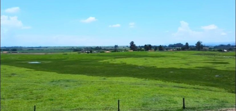 FAZENDA DE 196 ALQUEIRES EM SÃO PAULO