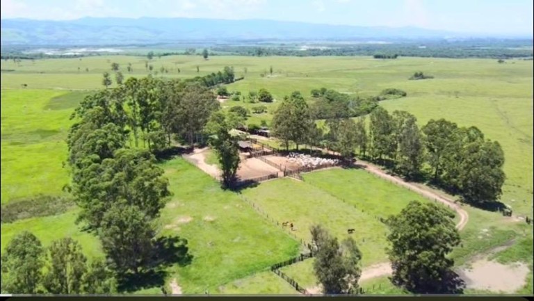 FAZENDA DE 196 ALQUEIRES EM SÃO PAULO
