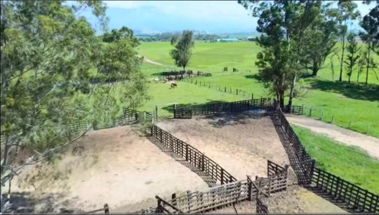 FAZENDA DE 196 ALQUEIRES EM SÃO PAULO