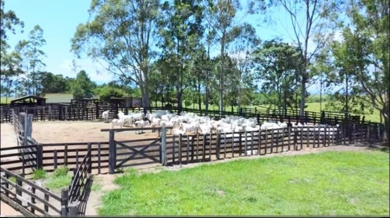 FAZENDA DE 196 ALQUEIRES EM SÃO PAULO