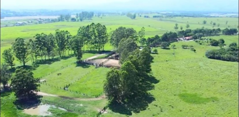 FAZENDA DE 196 ALQUEIRES EM SÃO PAULO