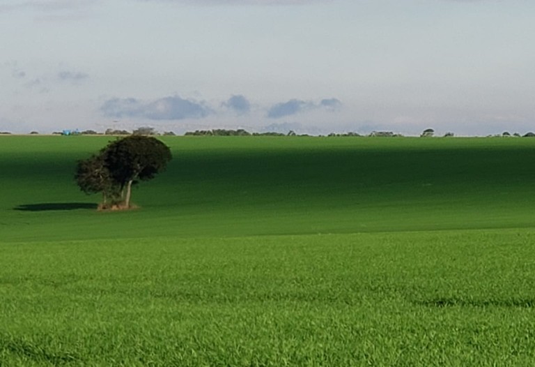 FAZENDA DE 856 ALQUEIRES EM SÃO PAULO