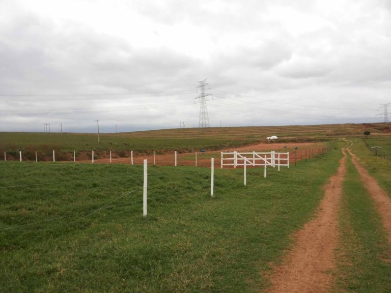 FAZENDA PORTEIRA FECHADA DE 163 ALQUEIRES