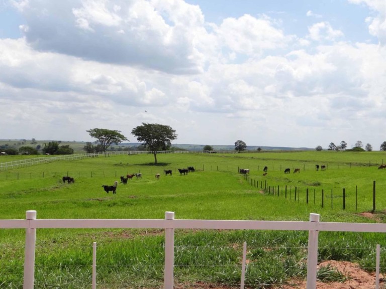 FAZENDA PORTEIRA FECHADA DE 163 ALQUEIRES