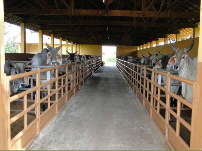 FAZENDA PORTEIRA FECHADA DE 163 ALQUEIRES