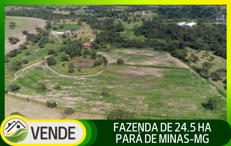FAZENDA DE 24.5 HA EM MINAS GERAIS