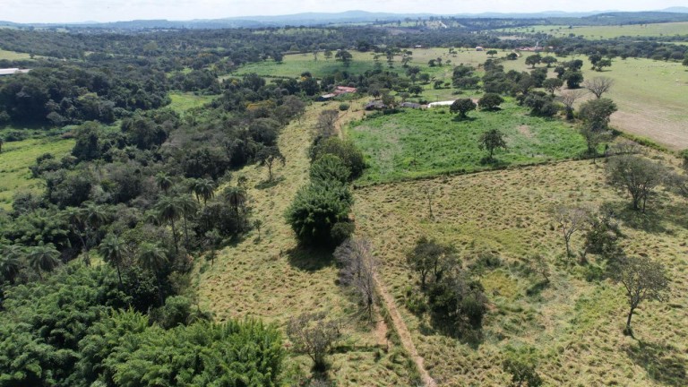 FAZENDA DE 24.5 HA EM MINAS GERAIS