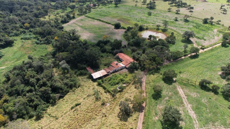 FAZENDA DE 24.5 HA EM MINAS GERAIS