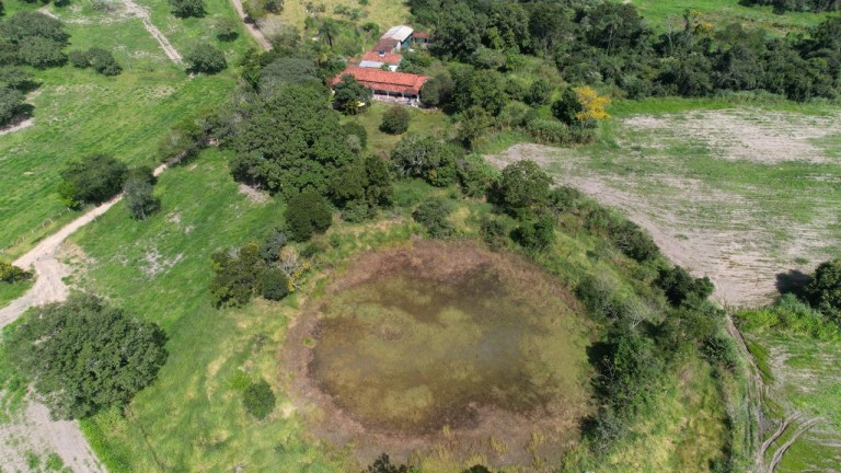 FAZENDA DE 24.5 HA EM MINAS GERAIS