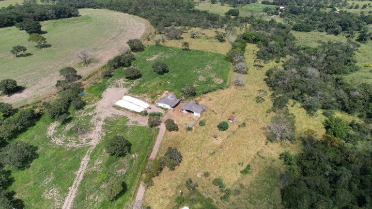 FAZENDA DE 24.5 HA EM MINAS GERAIS