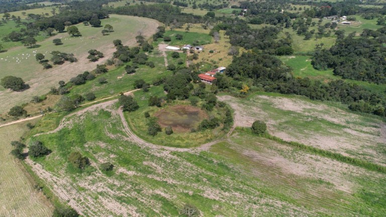 FAZENDA DE 24.5 HA EM MINAS GERAIS