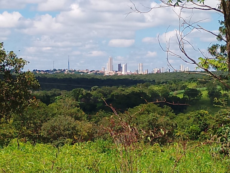 FAZENDA DE 24.5 HA EM MINAS GERAIS