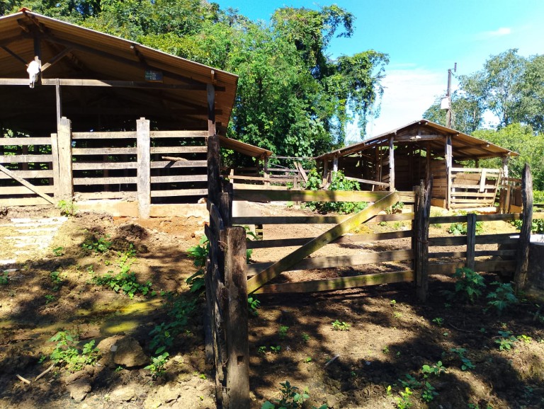 FAZENDA DE 24.5 HA EM MINAS GERAIS
