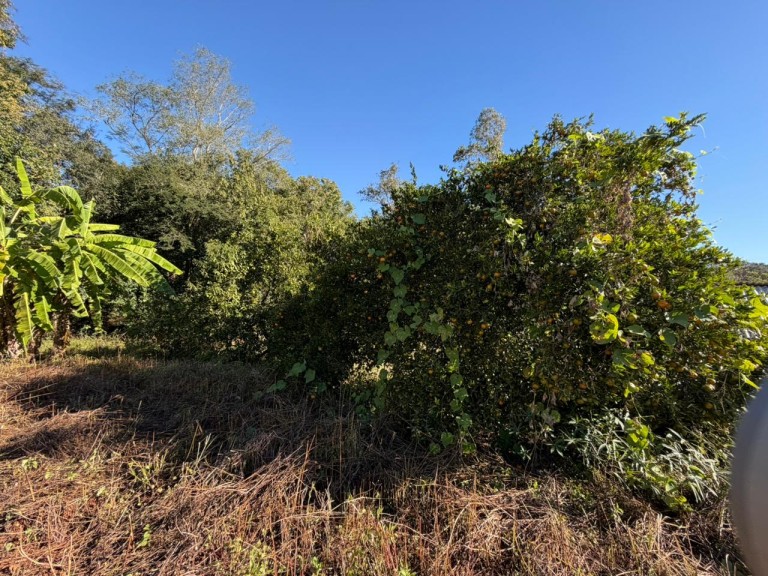 CASA DE 105 M² EM NOVO XINGU-RS