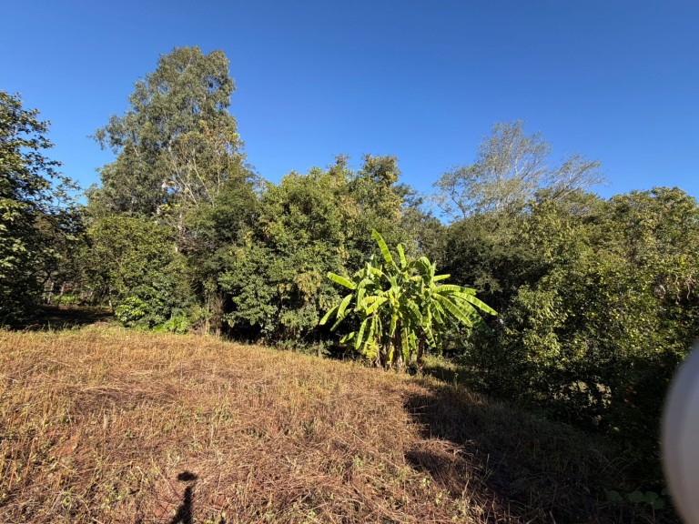 CASA DE 105 M² EM NOVO XINGU-RS