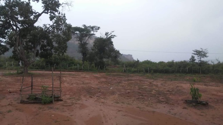 FAZENDA DE 2.437 HA POR R$ 3.500,00 AO HA