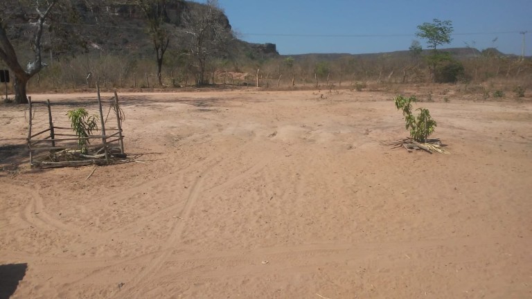 FAZENDA DE 2.437 HA POR R$ 3.500,00 AO HA