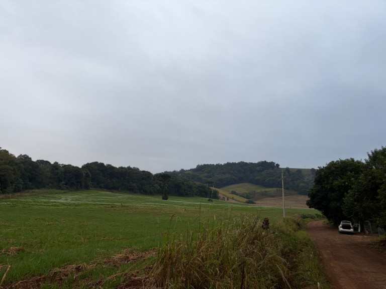 PROPRIEDADE DE 7 HA NO RS