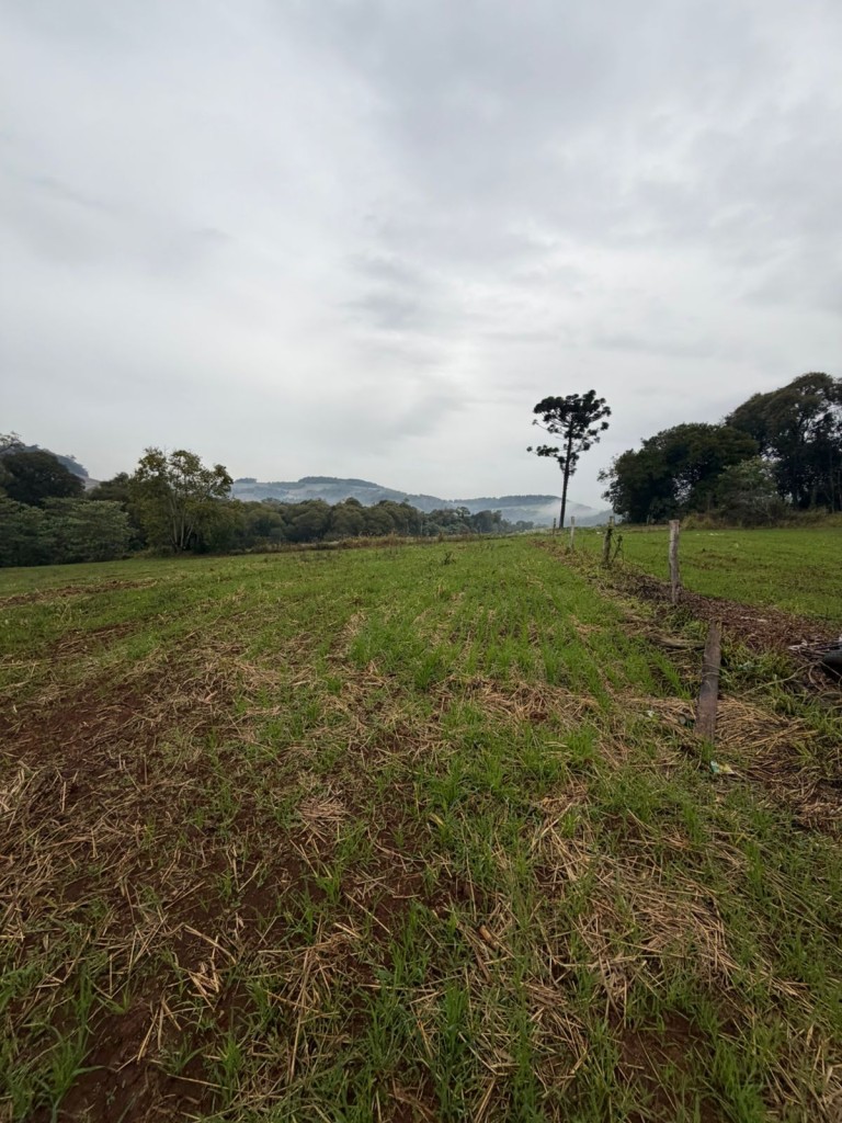 PROPRIEDADE DE 7 HA NO RS