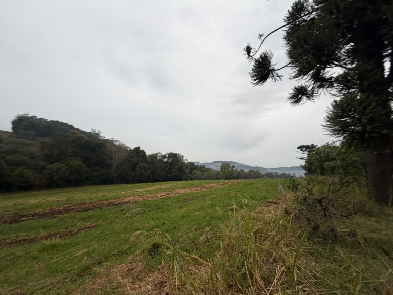 PROPRIEDADE DE 7 HA NO RS