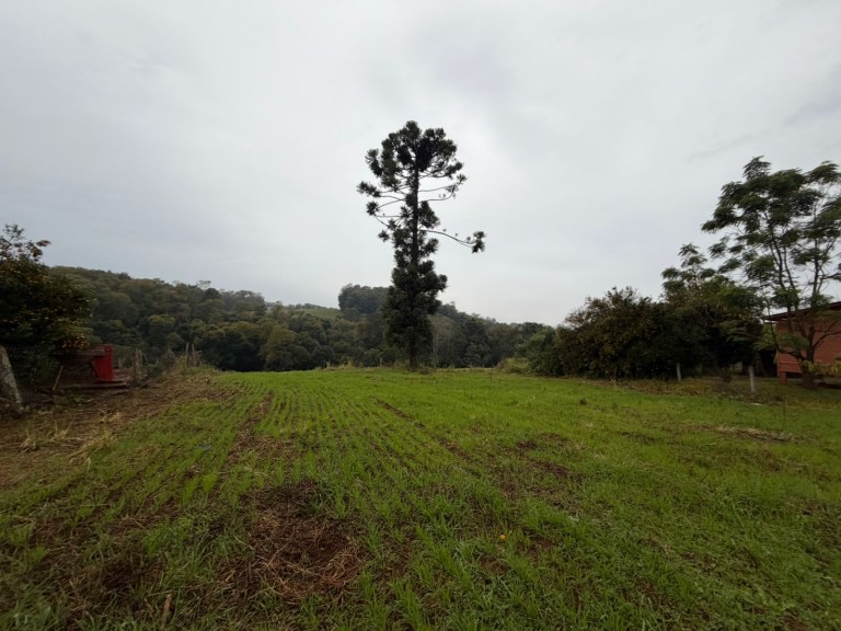 PROPRIEDADE DE 7 HA NO RS