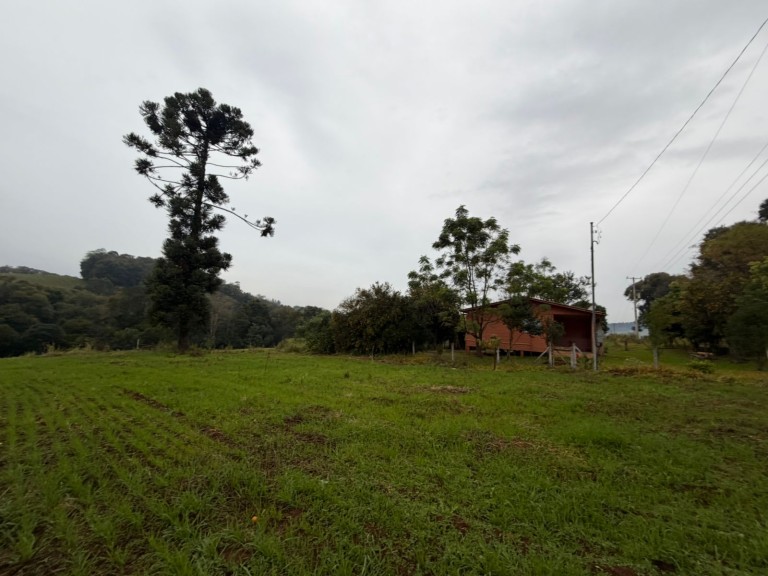 PROPRIEDADE DE 7 HA NO RS