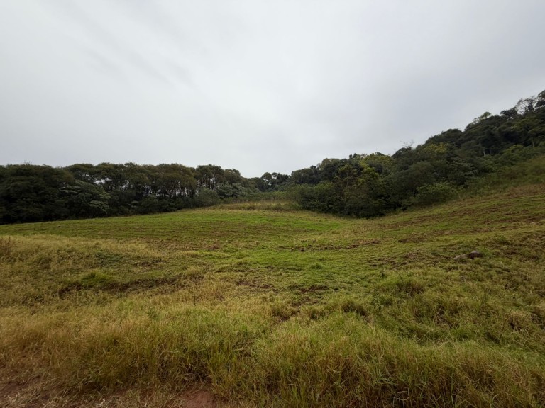 ÁREA DE TERRA DE 7.5 HA NO RS
