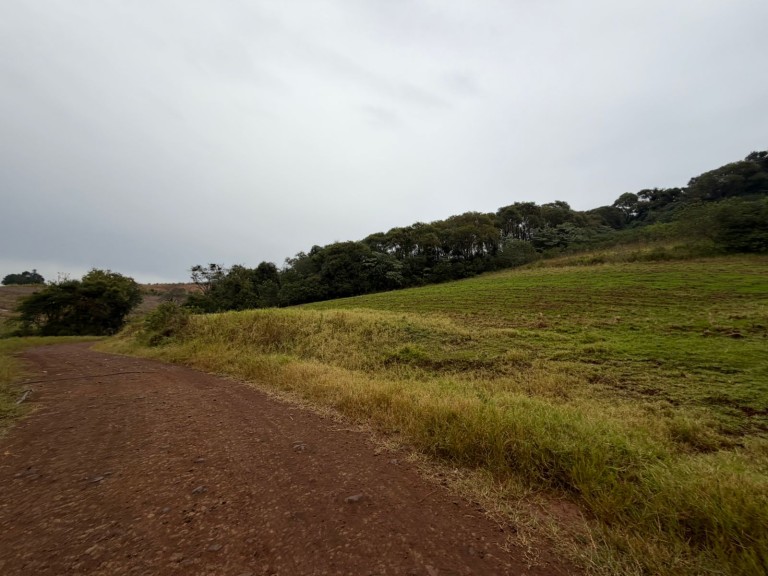 ÁREA DE TERRA DE 7.5 HA NO RS