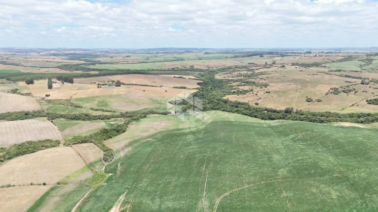 PROPRIEDADE DE 312 HA NO RS