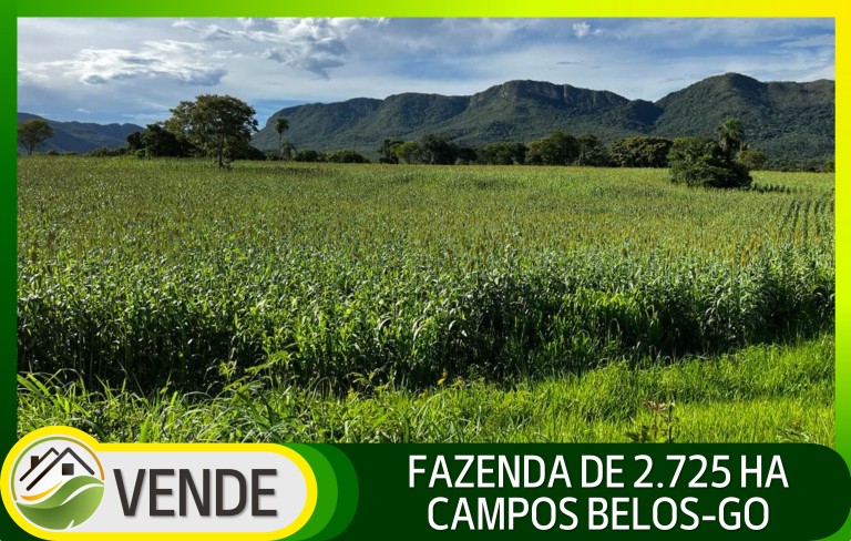 FAZENDA PORTEIRA FECHADA DE 2.725 HA
