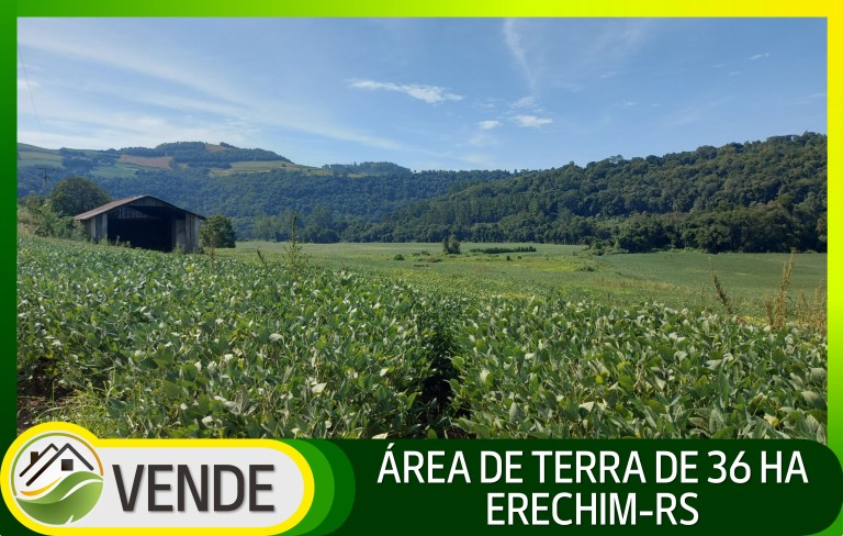 ÁREA DE TERRA DE 36 HA COM 10 ANOS PARA PAGAR