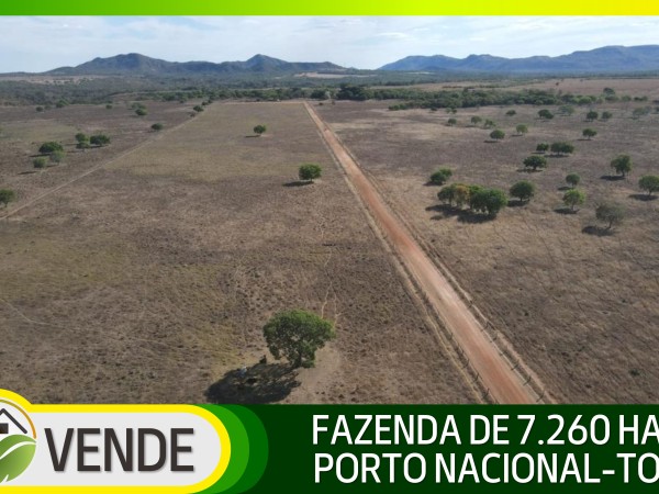 FAZENDA DE 7.260 HA NO TOCANTINS