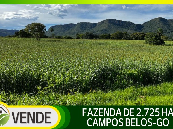 FAZENDA PORTEIRA FECHADA DE 2.725 HA