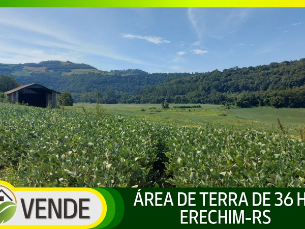 ÁREA DE TERRA DE 36 HA COM 10 ANOS PARA PAGAR