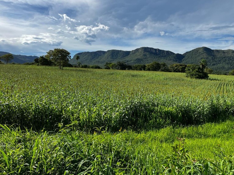 FAZENDA PORTEIRA FECHADA DE 2.725 HA