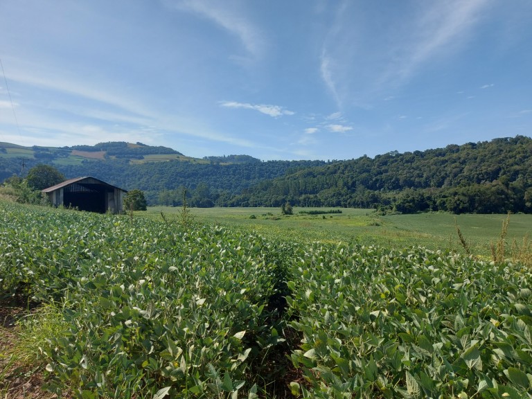 ÁREA DE TERRA DE 36 HA COM 10 ANOS PARA PAGAR