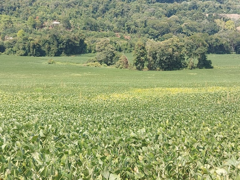 ÁREA DE TERRA DE 36 HA COM 10 ANOS PARA PAGAR