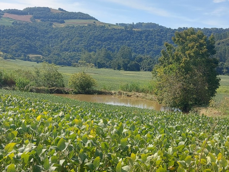 ÁREA DE TERRA DE 36 HA COM 10 ANOS PARA PAGAR